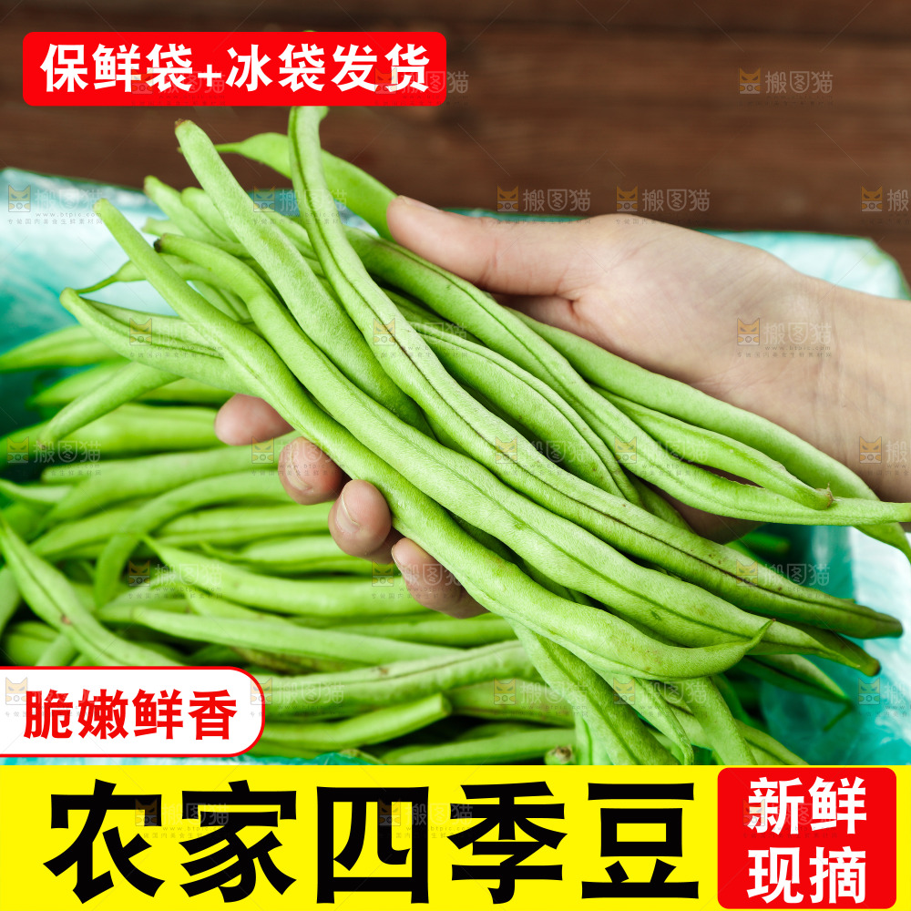 四季豆主图