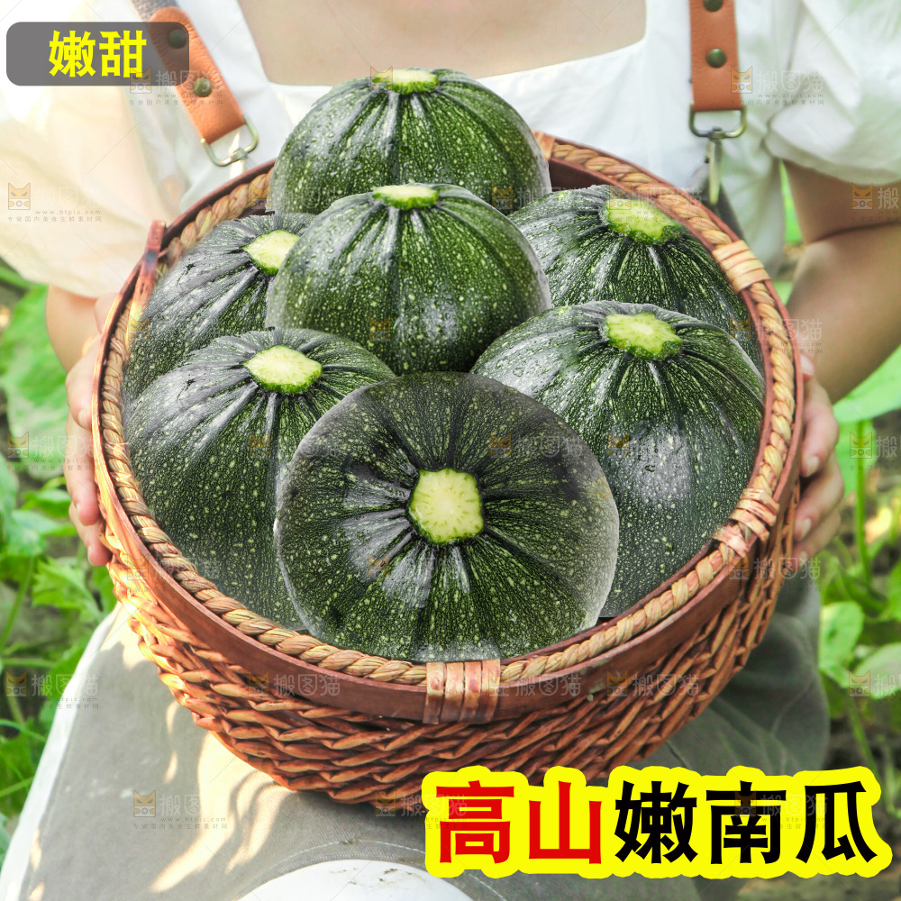 嫩南瓜主图