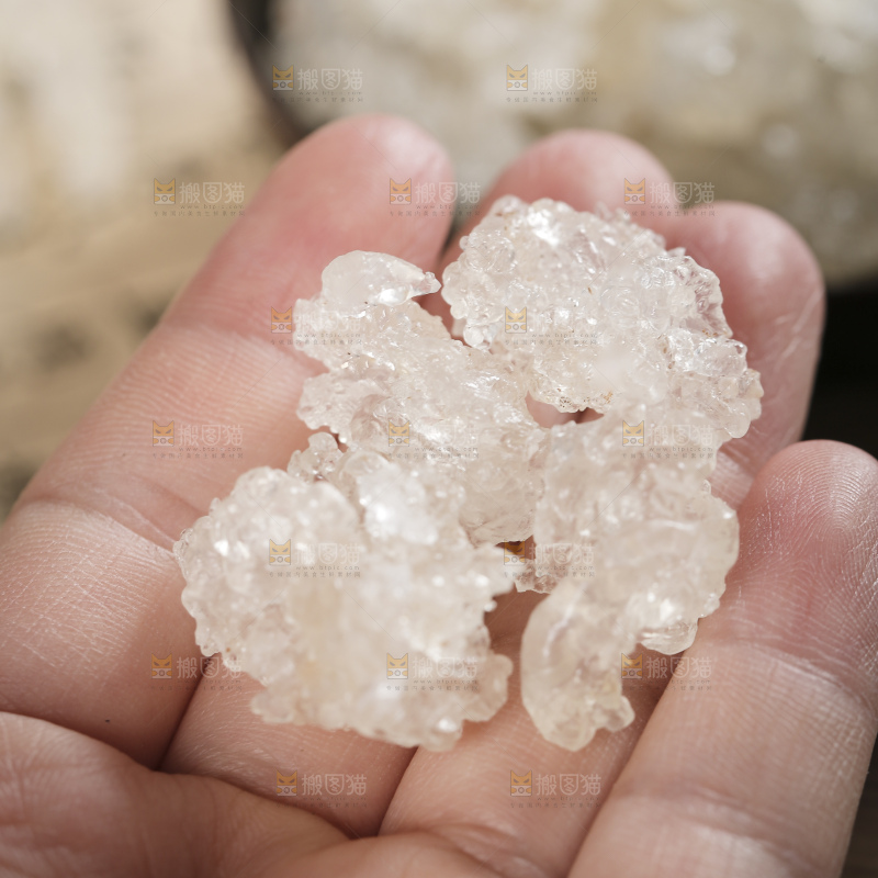 深底上的雪燕