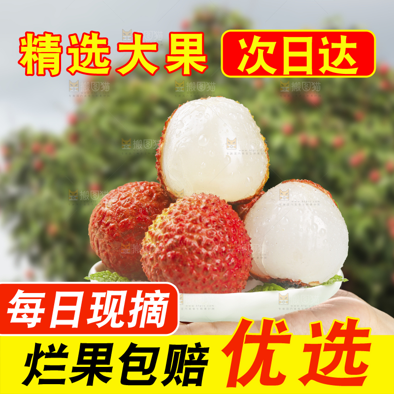 手里拿着一盘桂味荔枝