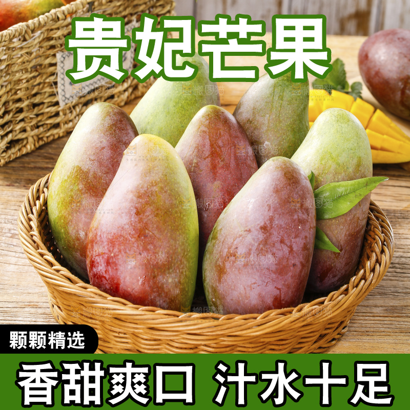 浅底上的贵妃芒