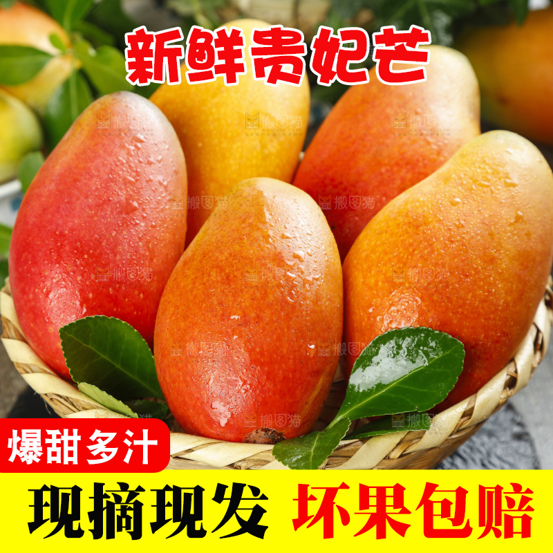 深底上的贵妃芒