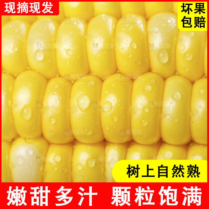 水果玉米纹理