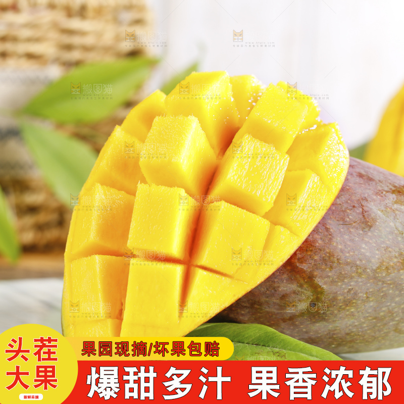 浅底上的贵妃芒