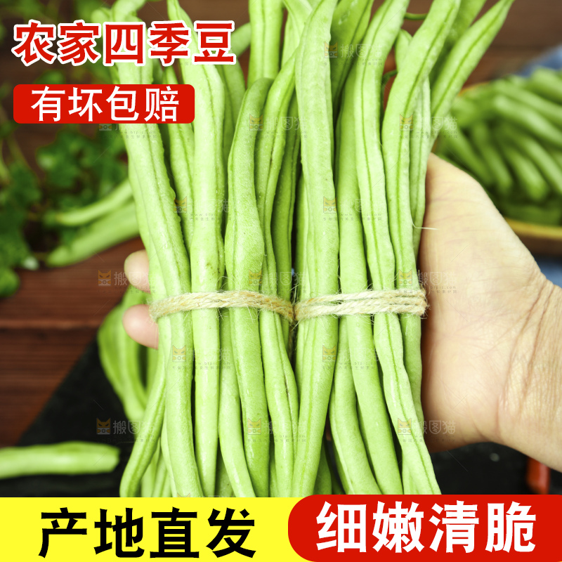 深底上的四季豆