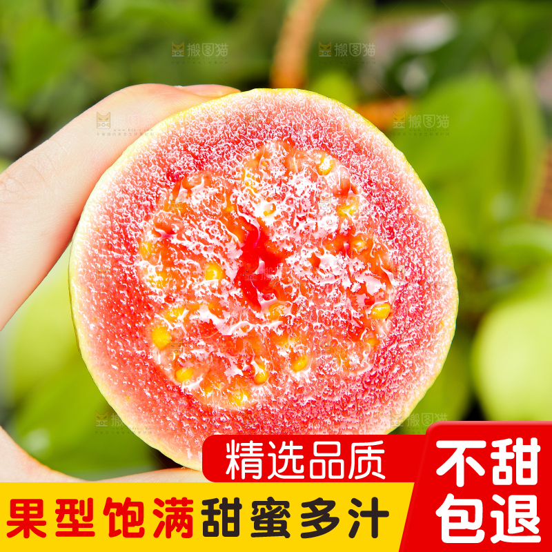 深底上的红心芭乐