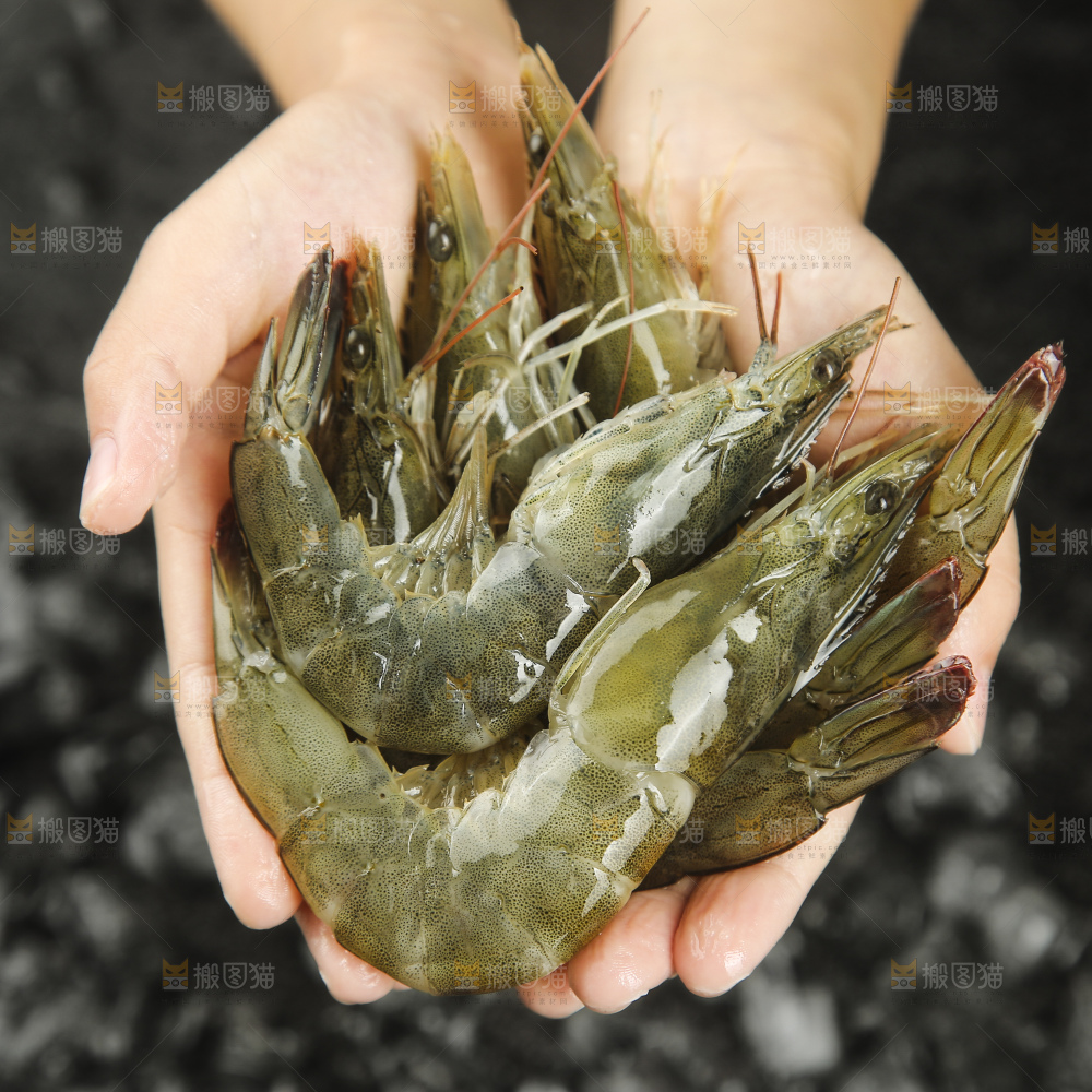 手里拿着青岛大虾