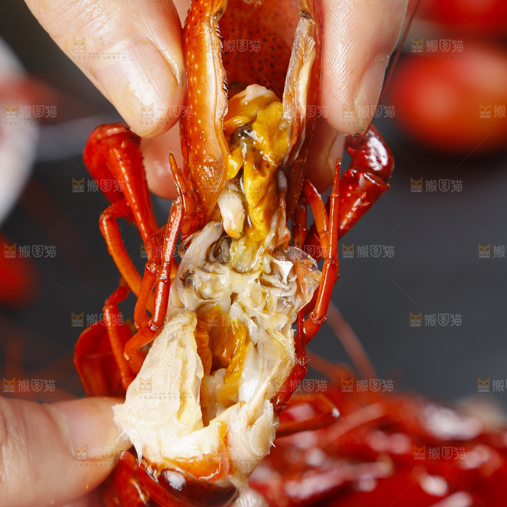 深底上的小龙虾