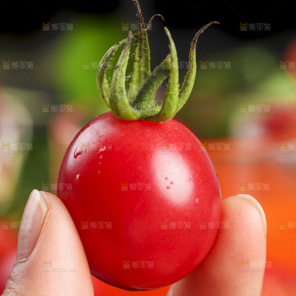浅底上的樱桃小番茄