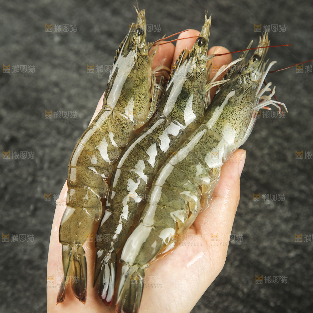 手里拿着青岛大虾