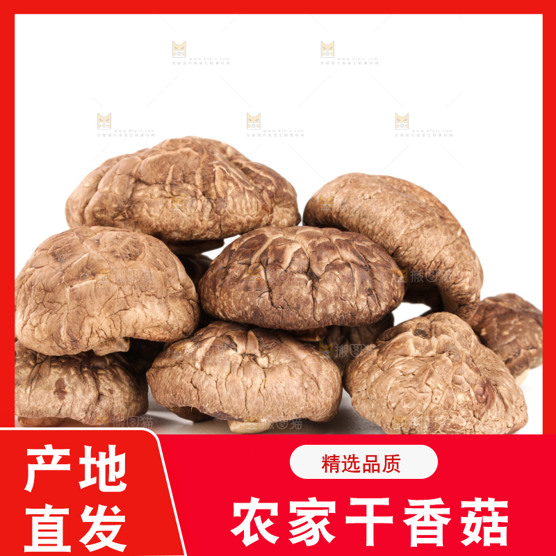 白底上的干香菇
