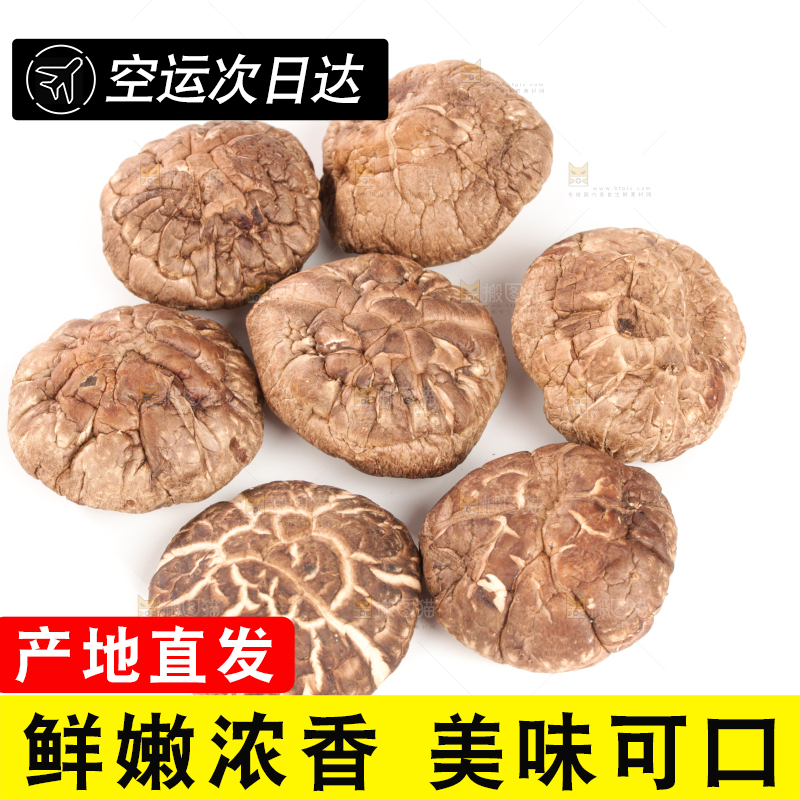 白底上的干香菇