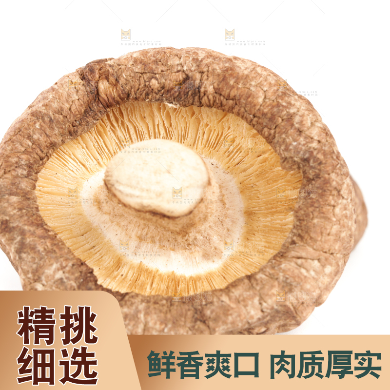 白底上的干香菇