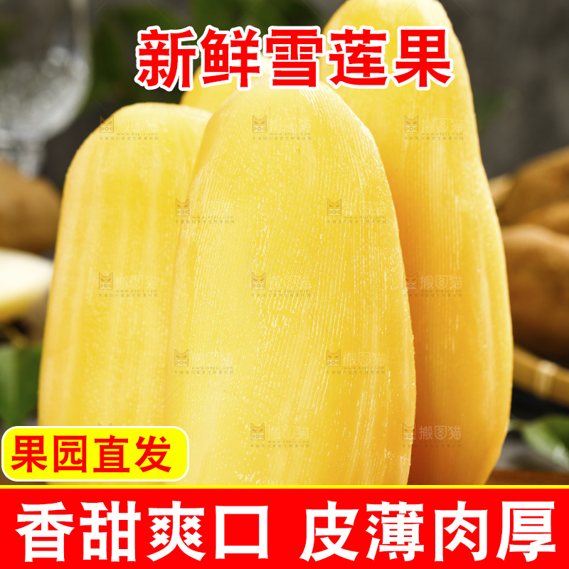 深底上的雪莲果