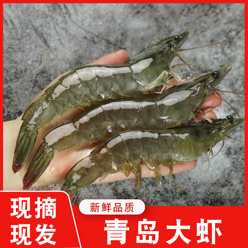 手里拿着青岛大虾