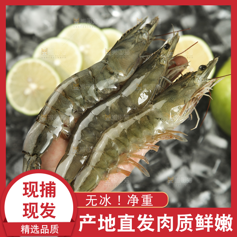手里拿着青岛大虾