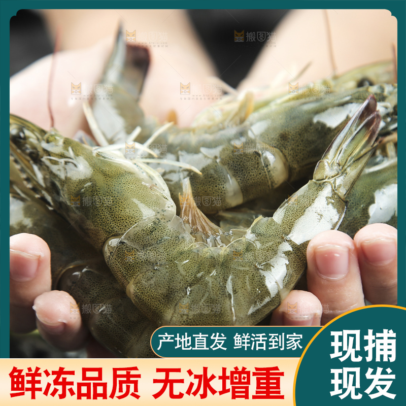 手里拿着青岛大虾