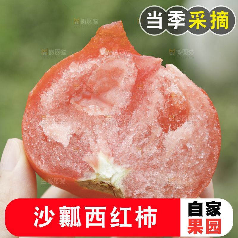 手里拿着沙瓤番茄