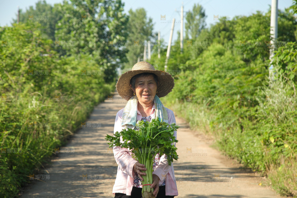 手里拿着新鲜芹菜