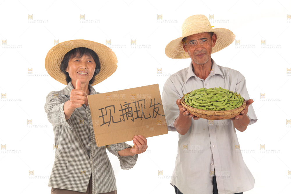 手里拿着现摘毛豆