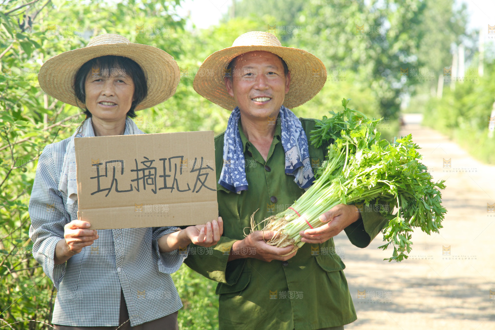 手里拿着新鲜芹菜