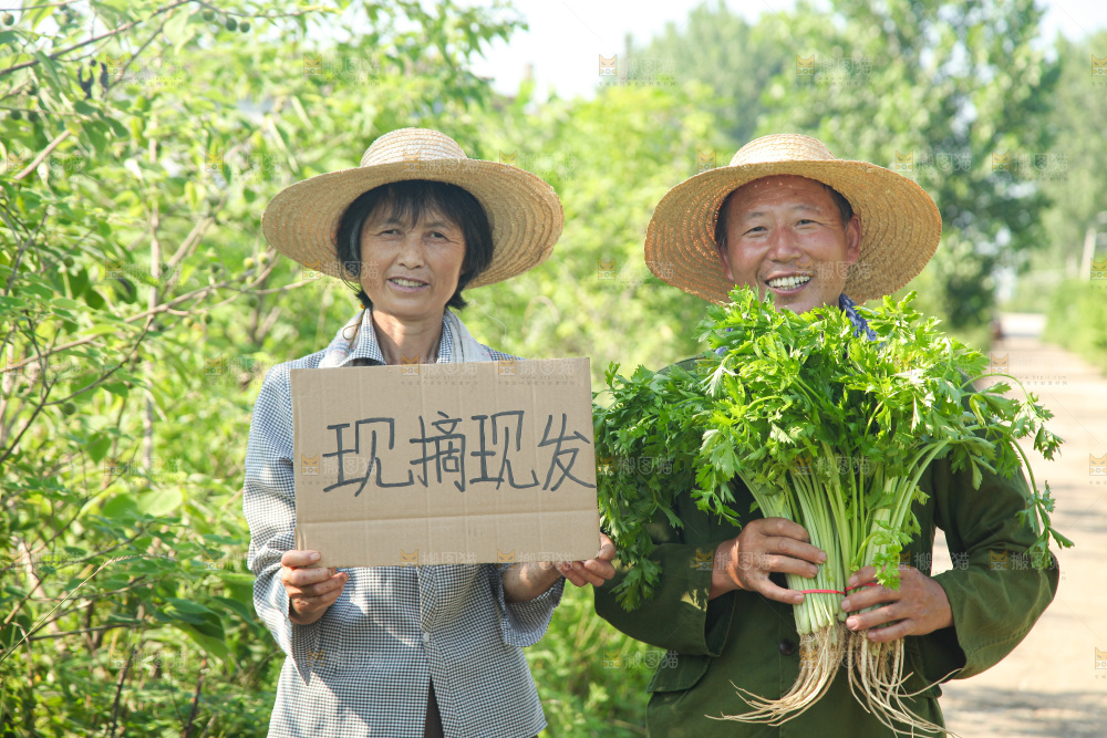 手里拿着新鲜芹菜