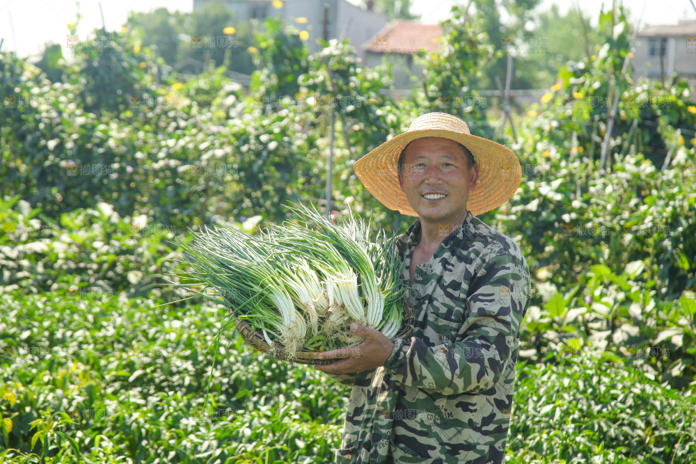 手里拿着新鲜小葱
