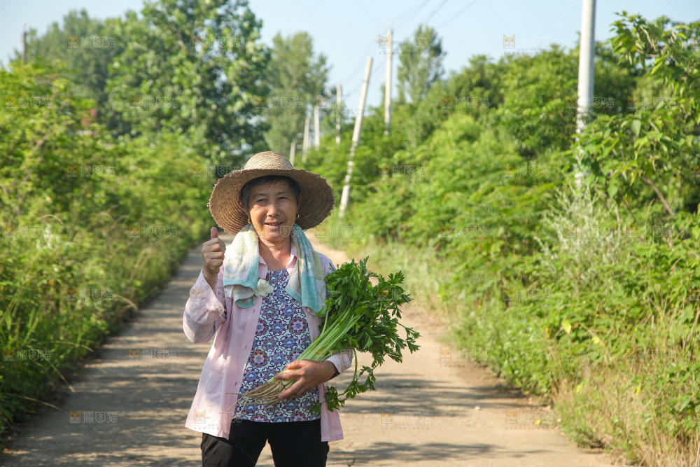 手里拿着新鲜芹菜