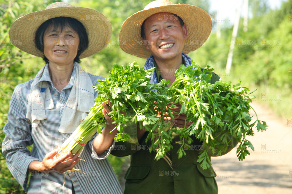 手里拿着新鲜芹菜