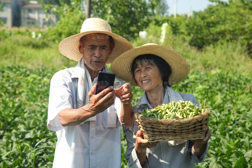 手里拿着现摘毛豆
