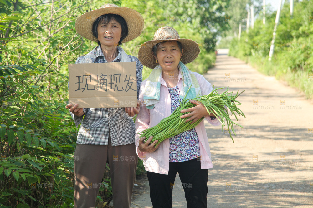 手里拿着长豇豆
