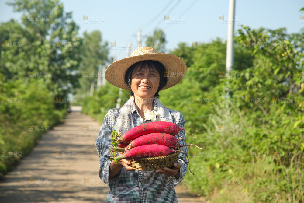 手里拿着红萝卜