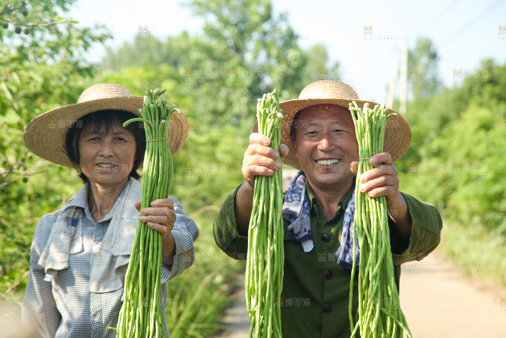 手里拿着长豇豆