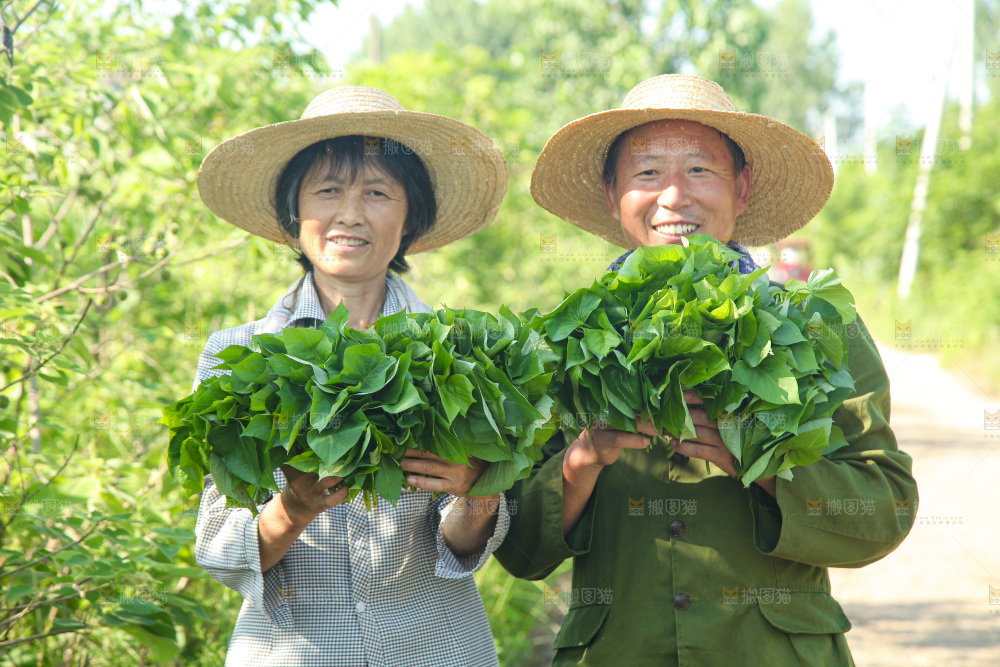 手里拿着苕尖