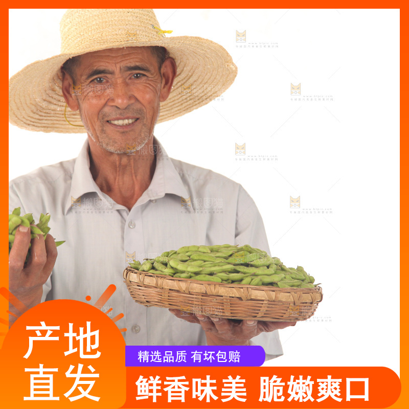手里拿着现摘毛豆
