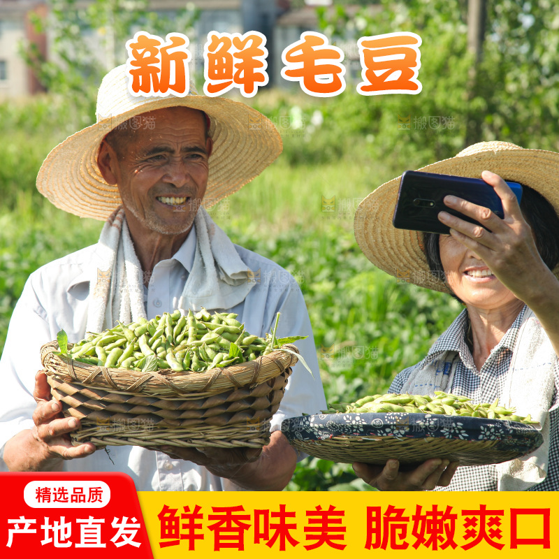 手里拿着现摘毛豆