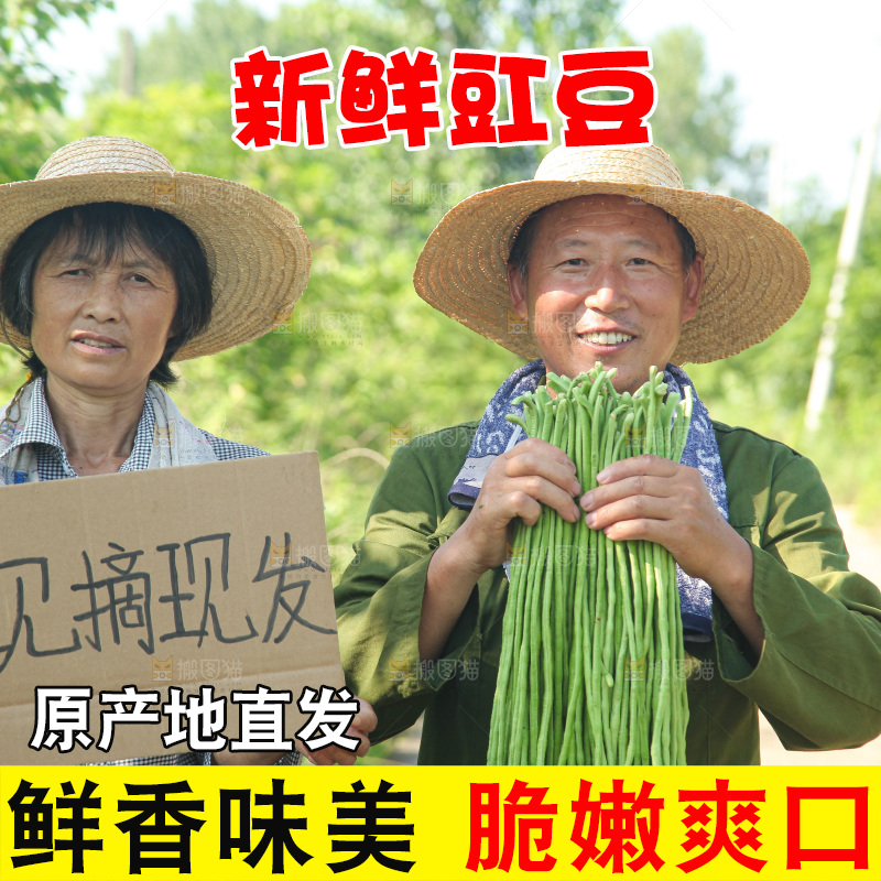 手里拿着长豇豆