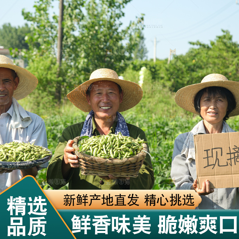 手里拿着现摘毛豆