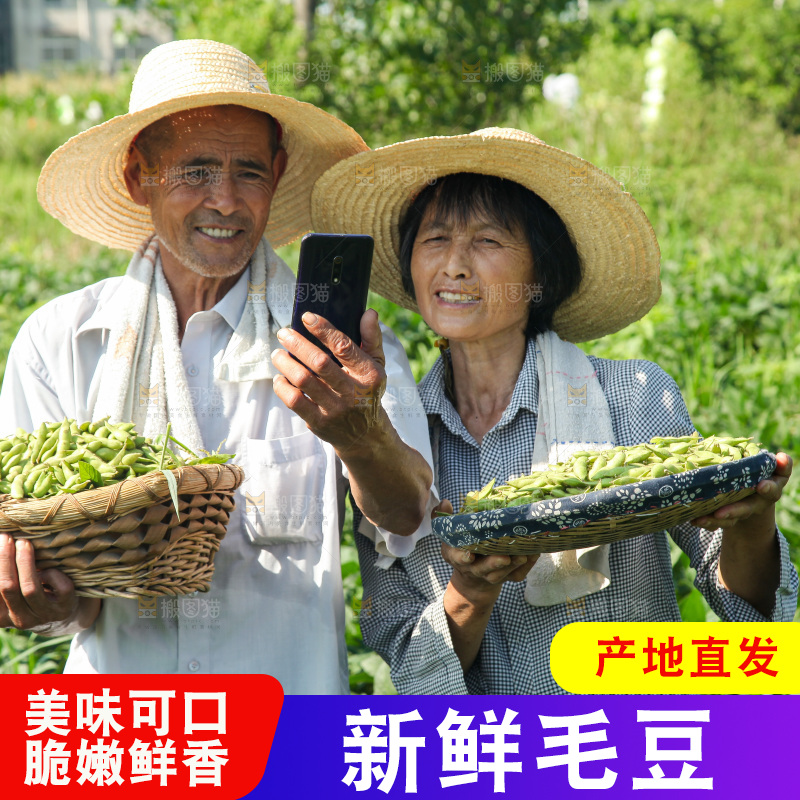 手里拿着现摘毛豆