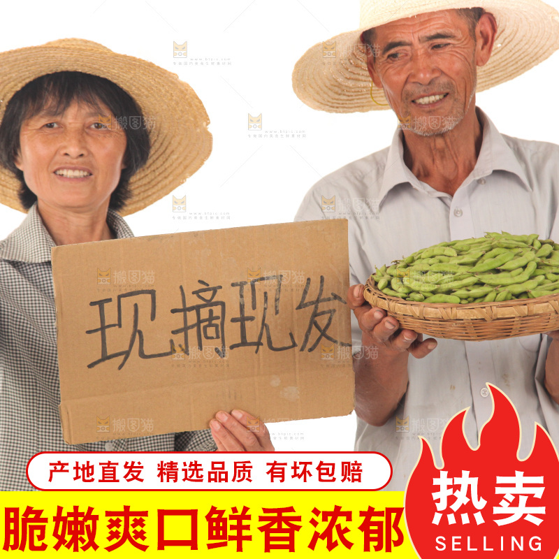 手里拿着现摘毛豆