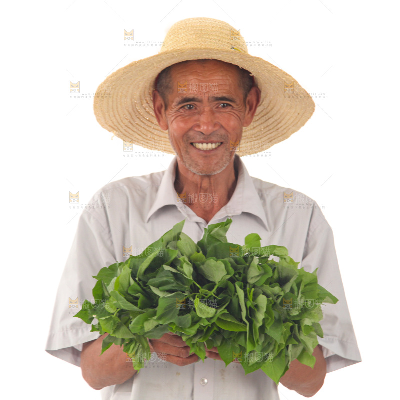 手里拿着苕尖