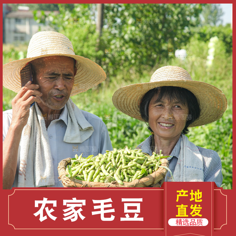 手里拿着现摘毛豆