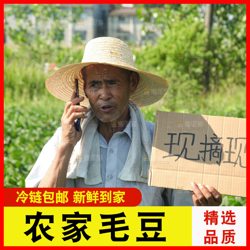 手里拿着现摘毛豆