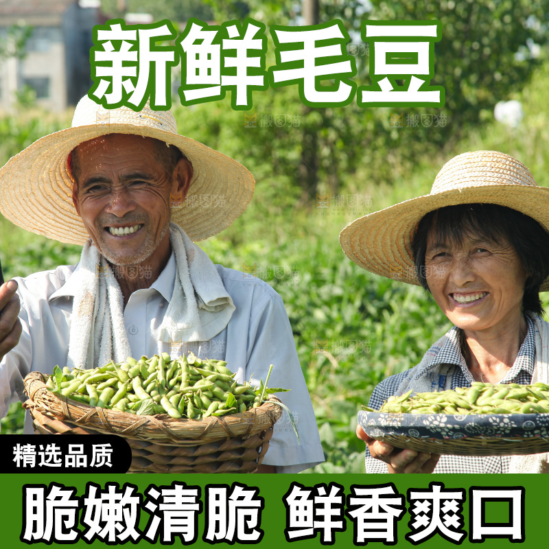 手里拿着现摘毛豆