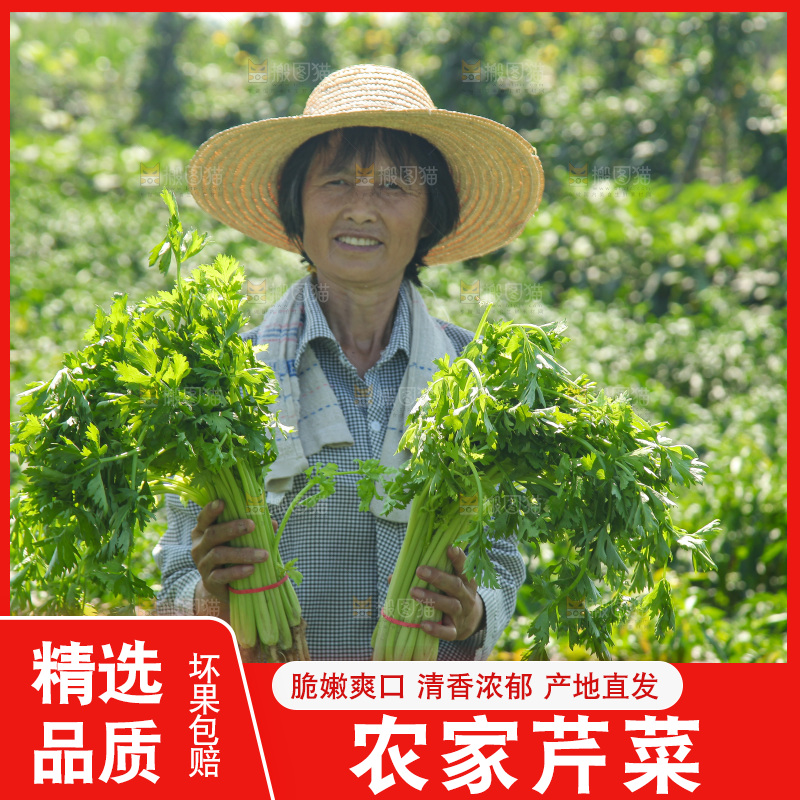 手里拿着新鲜芹菜