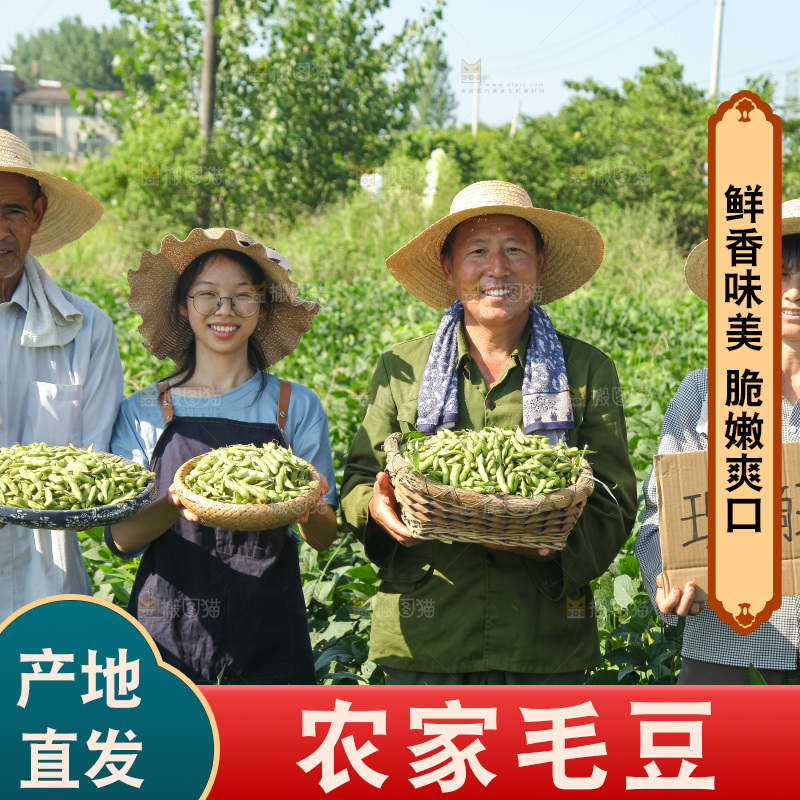 手里拿着现摘毛豆