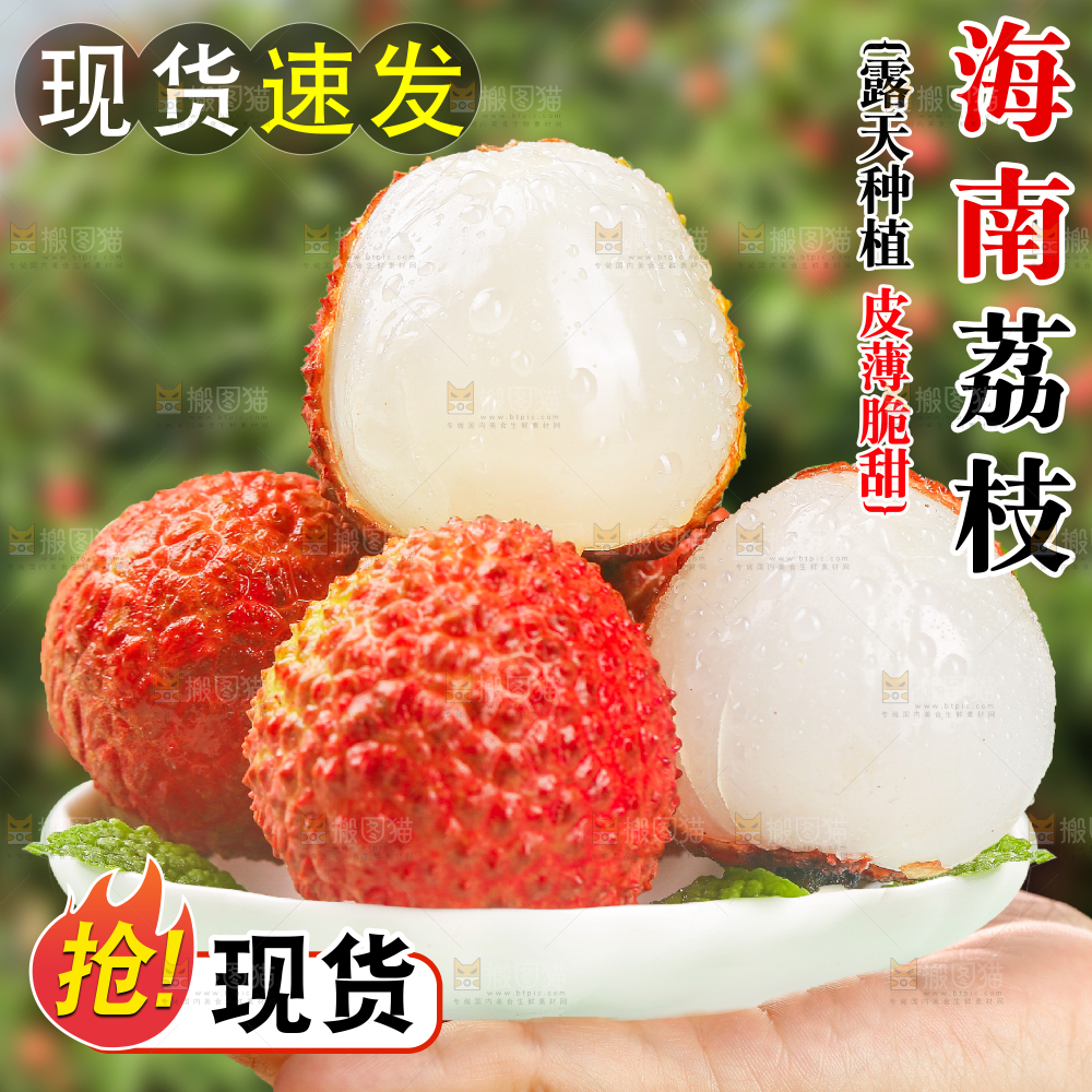 桂味荔枝主图