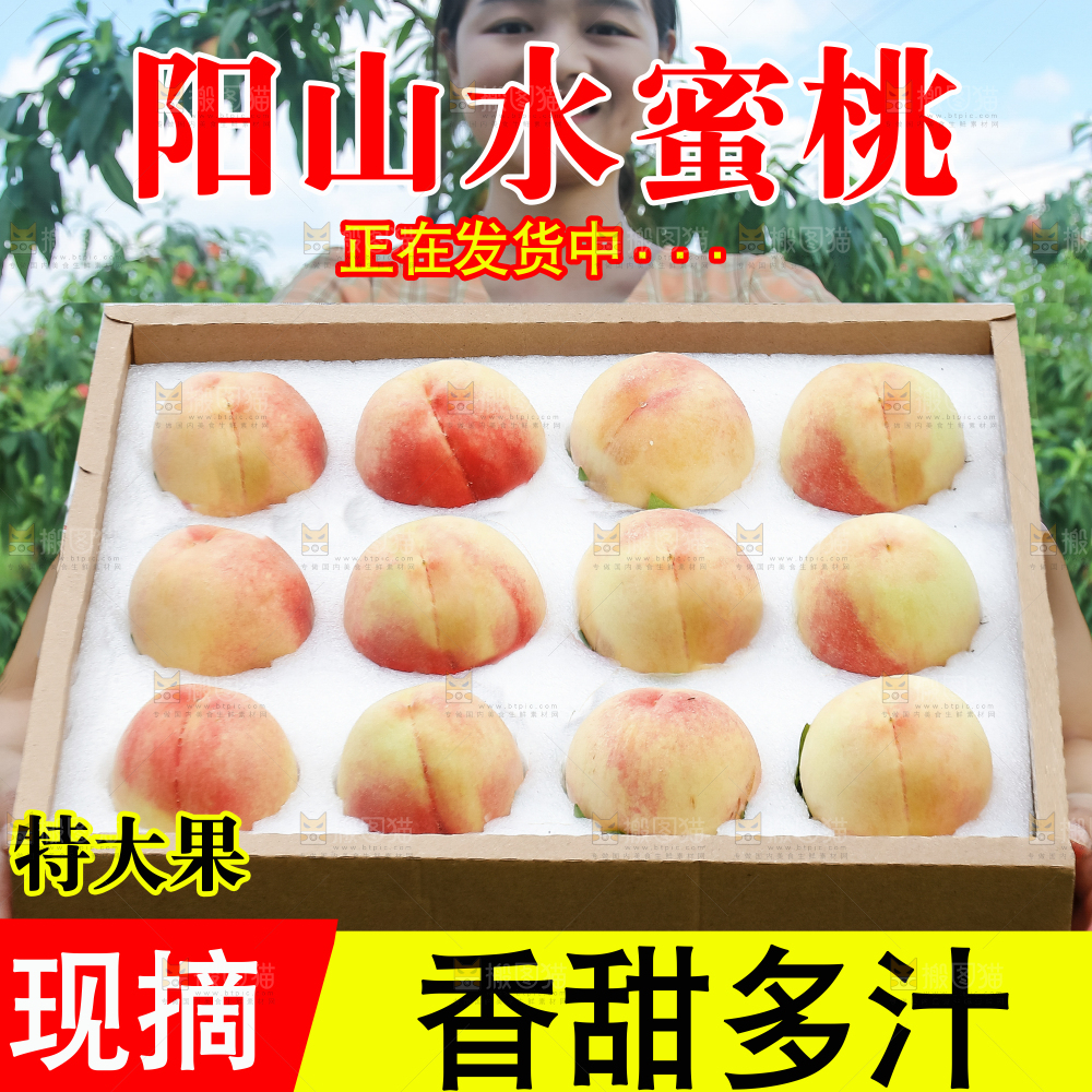 阳山水蜜桃主图