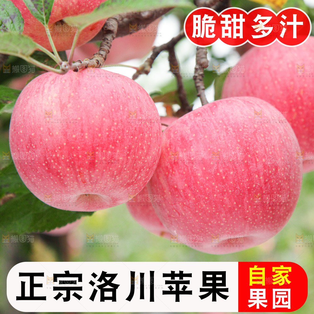 洛川苹果主图
