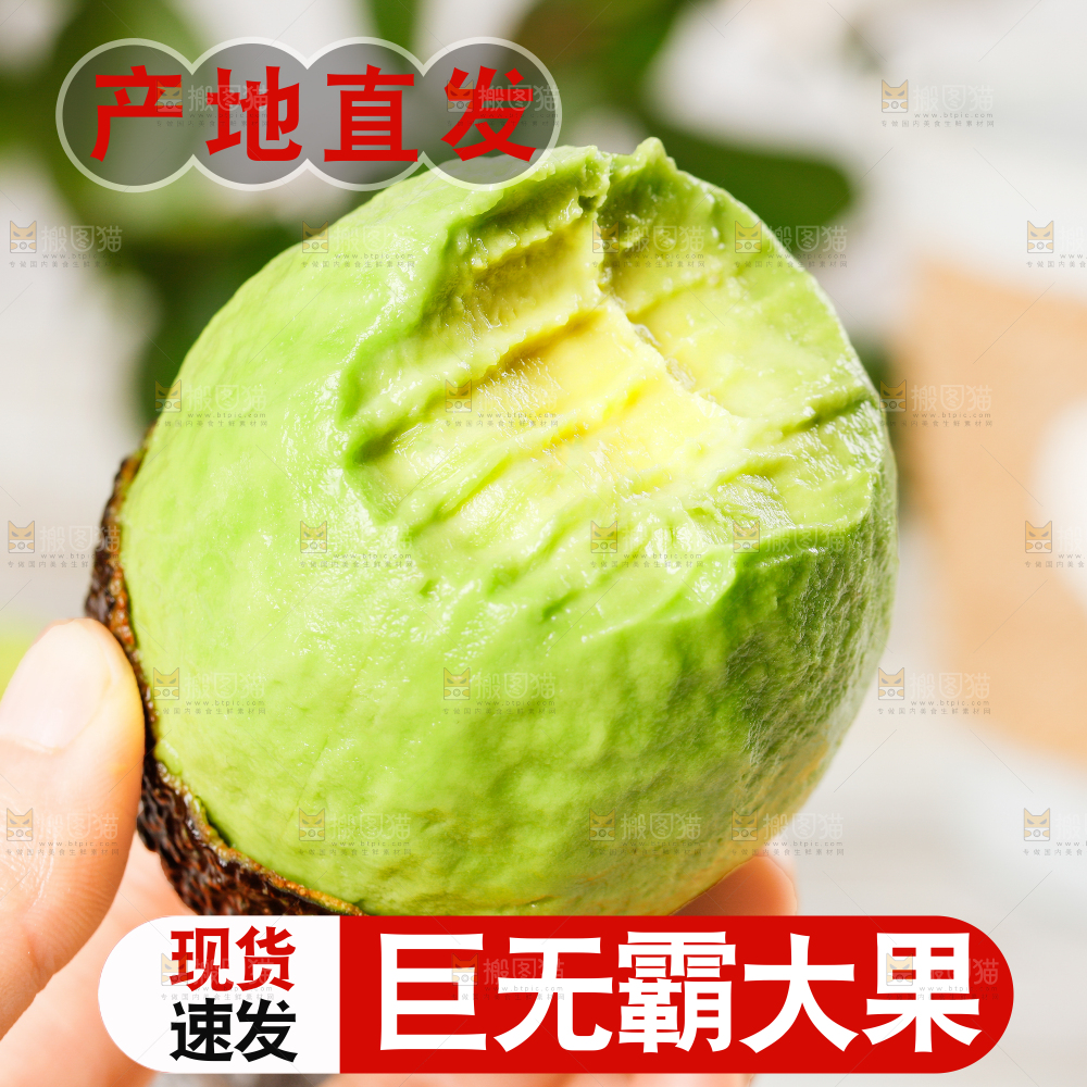 墨西哥牛油果主图